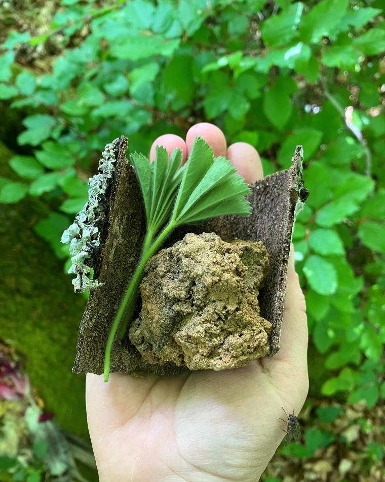 2159080E-9E10-4E7A-AFDD-3A3B82C34477 (small)