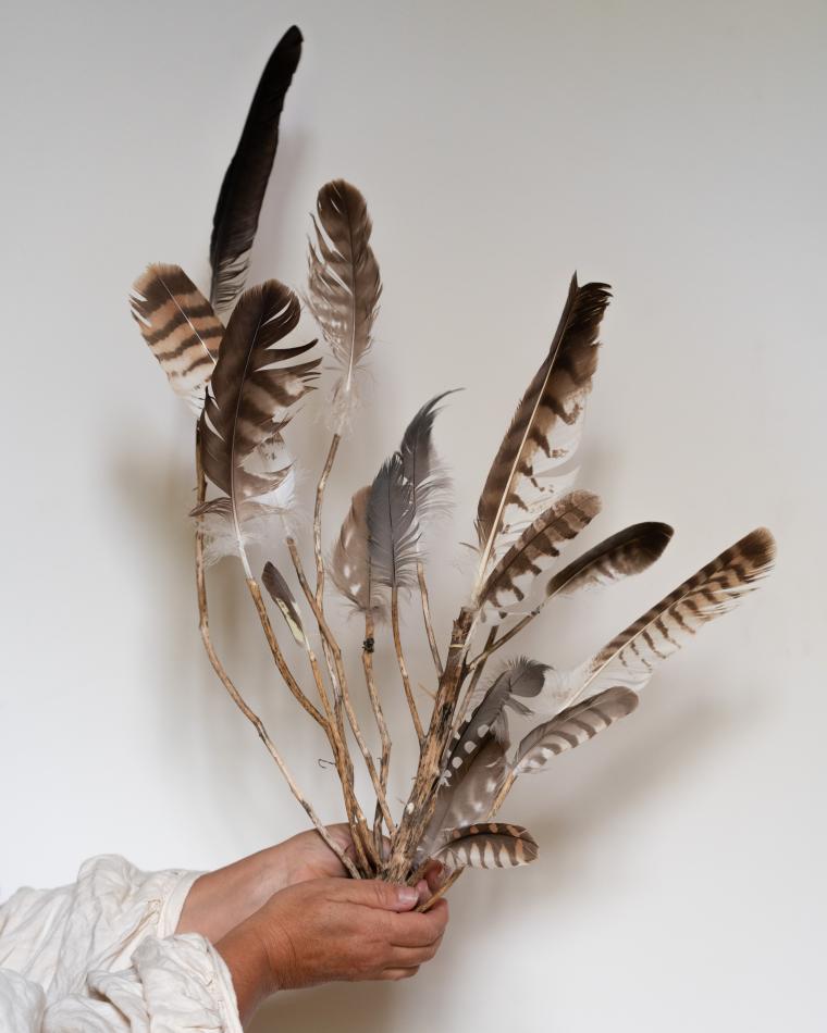 des racines et des ailes 2025
