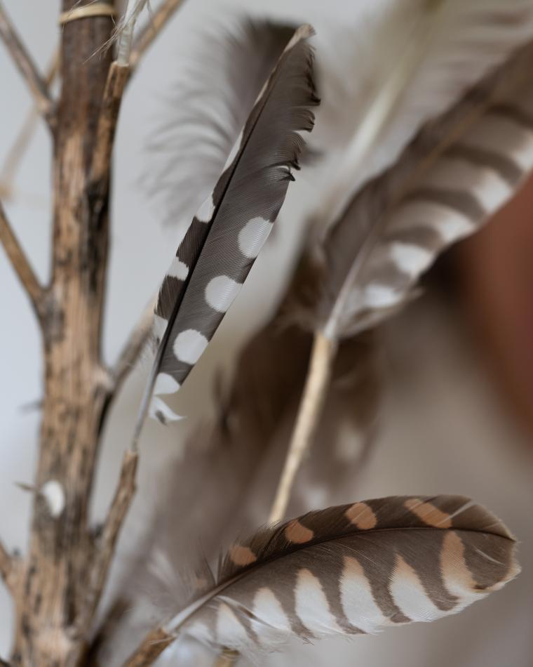 JulieBrand_Plumes_03-copie (small)