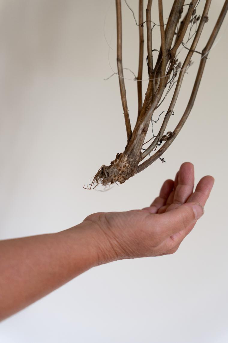 JulieBrand_Plumes_20 (small)