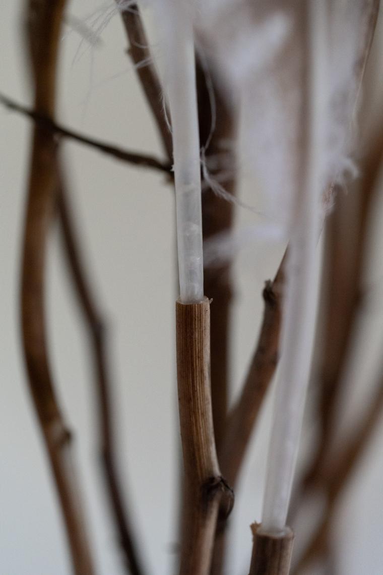 JulieBrand_Plumes_22 (small)