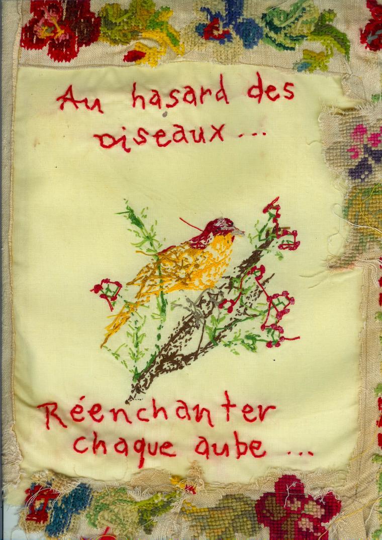 au-hasard-des-oiseaux-recto (small)