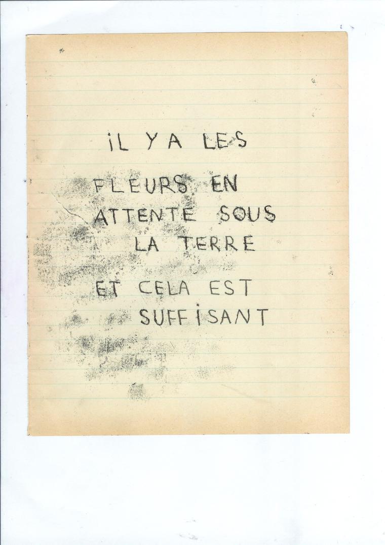 il-y-a-des-fleurs-en-attente-sous-la-terre (small)