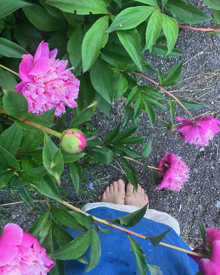 Jardin Bleu ateliers et transmissions