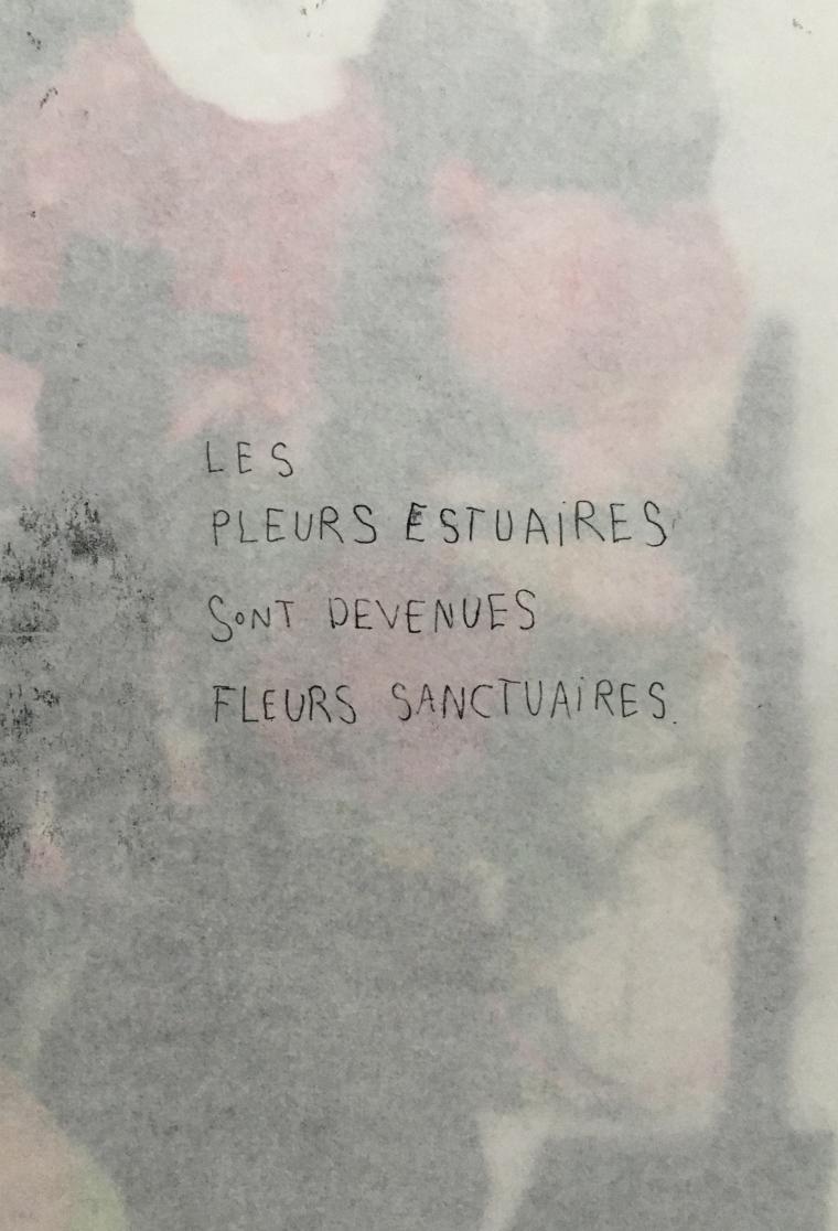 les-noirs-jardins-11 (small)