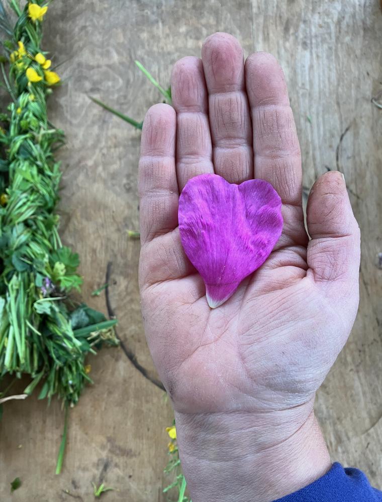 main-et-rose (small)